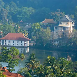 Kwatera prywatna Mcleod-inn, Kandy